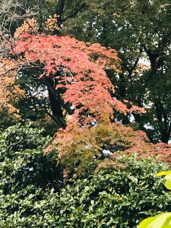 一夏の恋の終わり