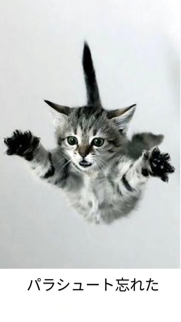 急遽決定♡♡♡