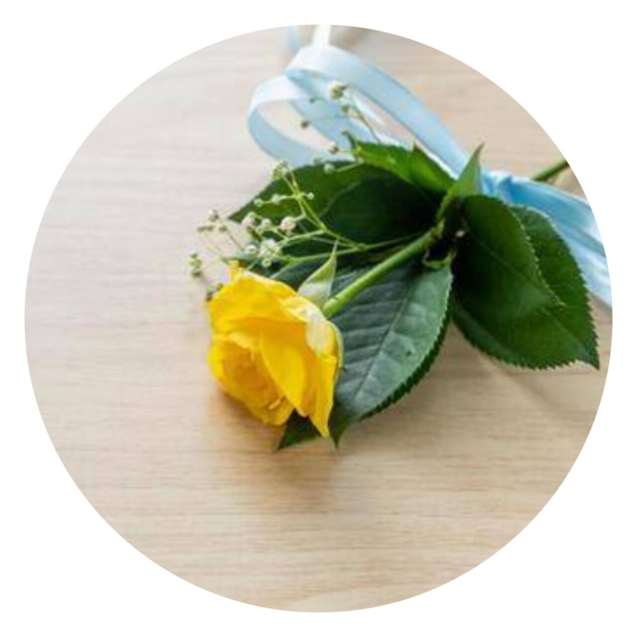 初日を迎えドキ(&#8288;&#28780;&#8288;&ordm;&#8288;&#8255;&#8288;&ordm;&#8288;&#28780;&#8288;)&#8288;