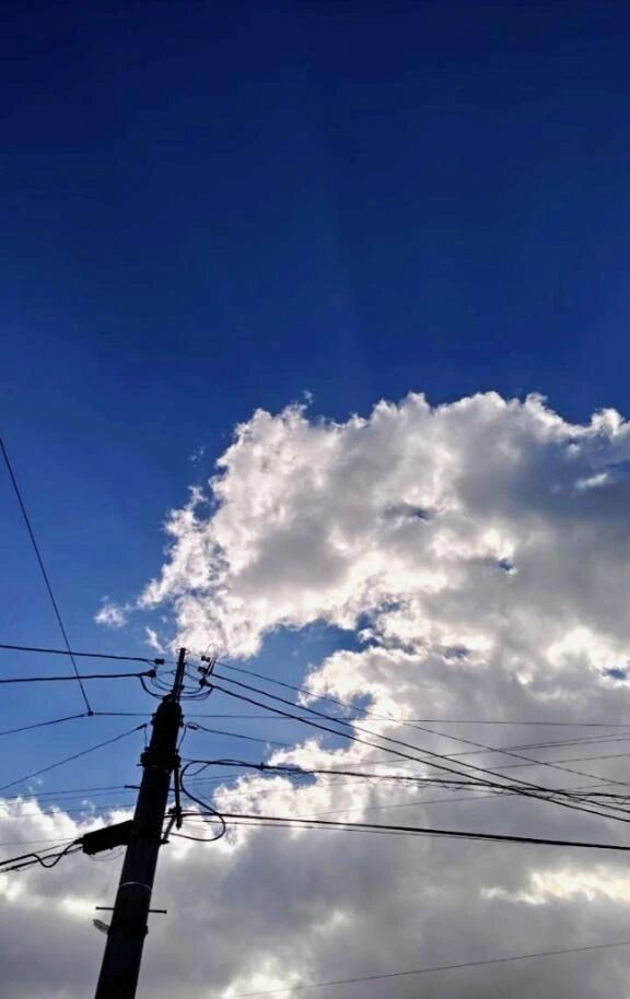 李こんにちは李