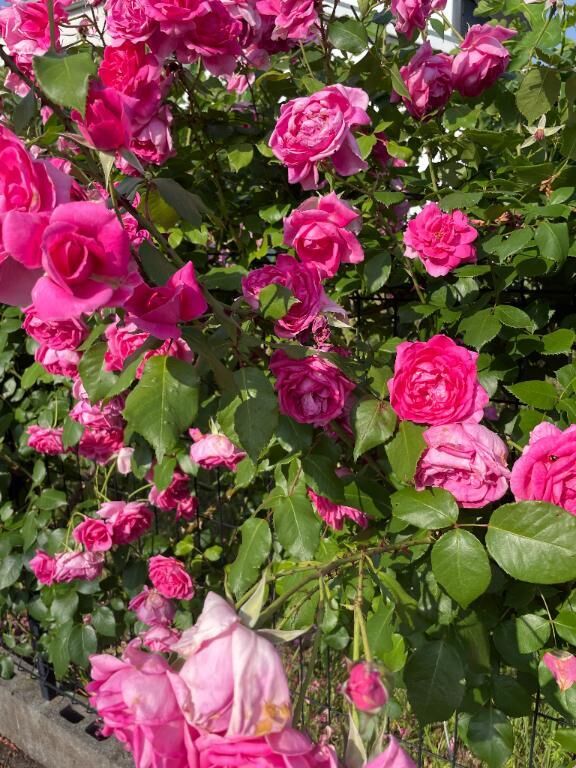 口コミありがとうございます♡