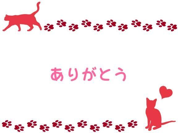 今日のお礼と明日♪