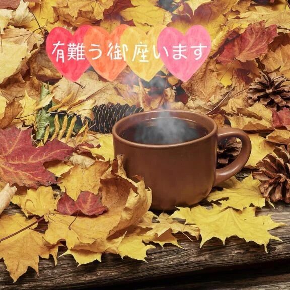 ありがとうございました♪