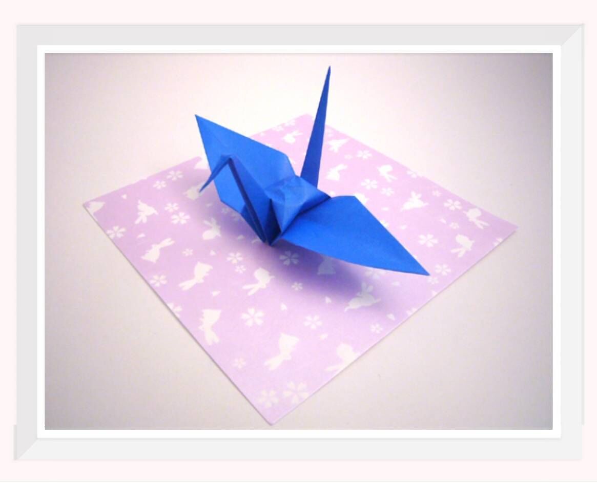 初日終了(´・ω・｀)