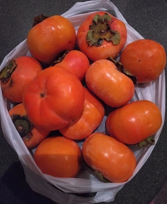 ご馳走様です&#129392;