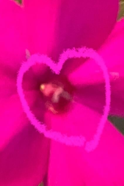 ありがとうございます