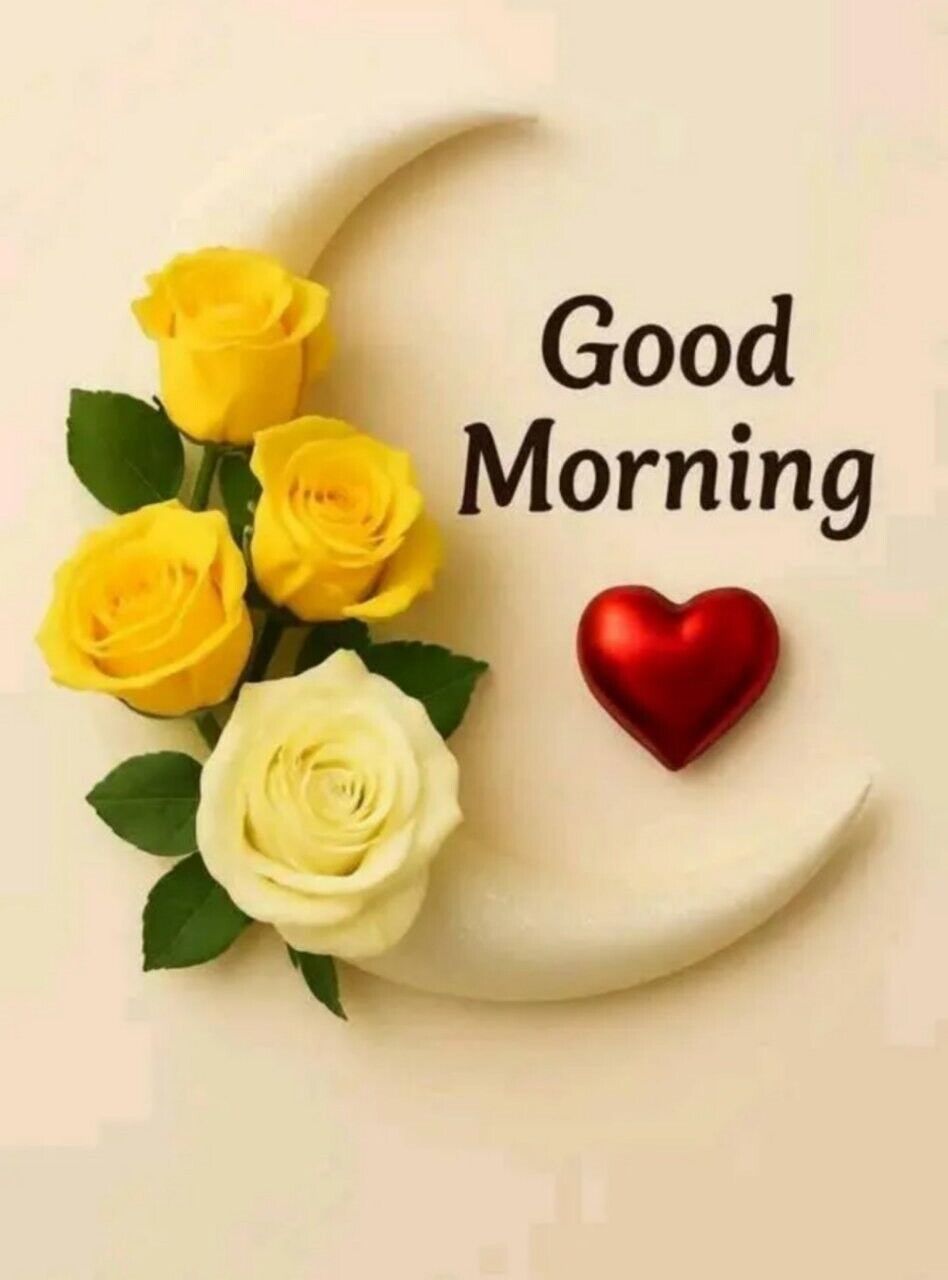 おはようございます&#128522;