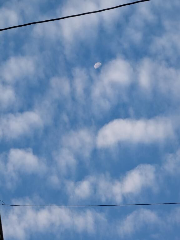 おはようございます