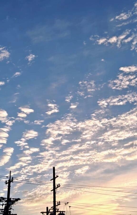 李おはようございます李