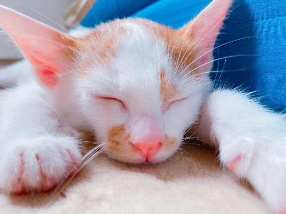 お休みです&#127808;