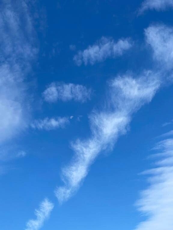 おはようございます。