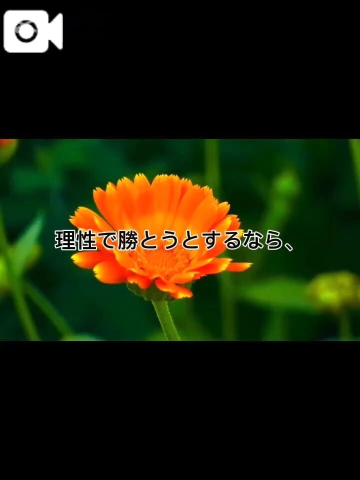 あなたの理性、壊してあげる。