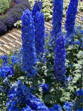 ありがとうございました