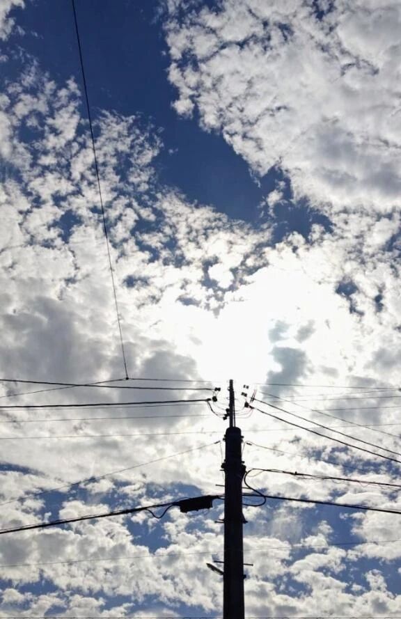 李こんにちは李