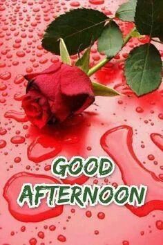 李皆様…李勺待機中です勺