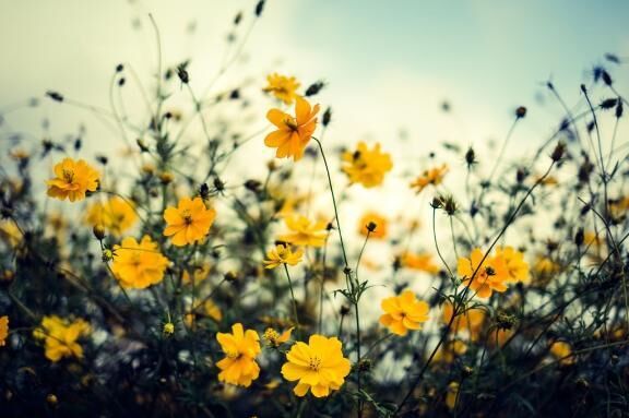 明日も出勤します。