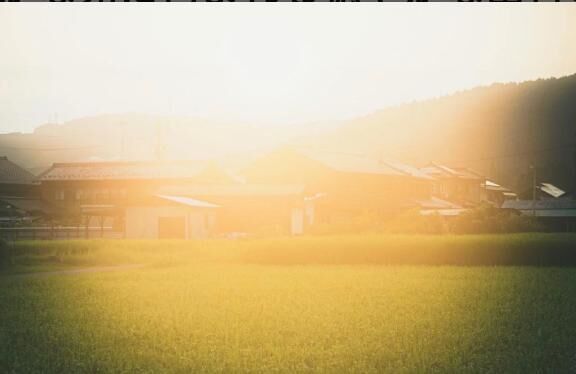 綺麗に食べ切りたいのに