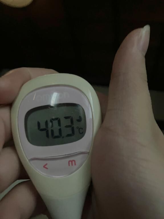 今週はお休みを