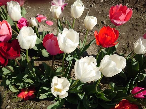 ありがとうございました♡♡♡