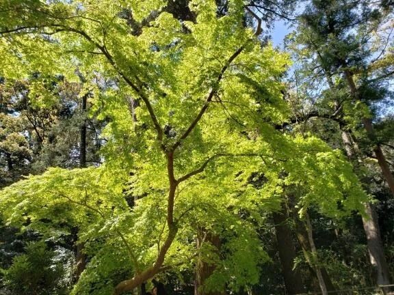 こんばんは&#127771;