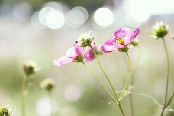 ありがとう&#x301C;