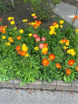 ありがとうございました