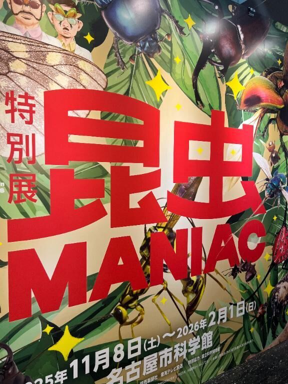 昆虫マニアック♡