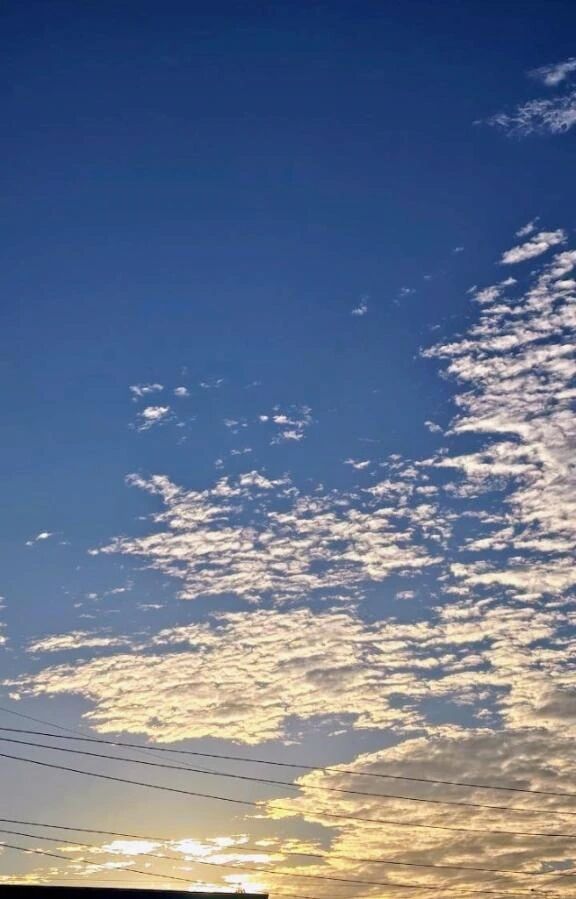 李あかそるのおしやまひんたゆなやおはようございます李