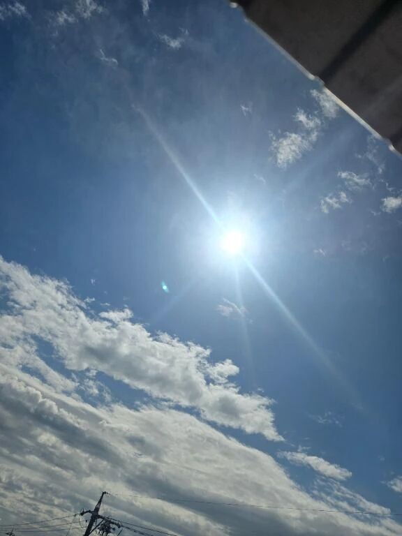 おはようございます(^з^)-☆