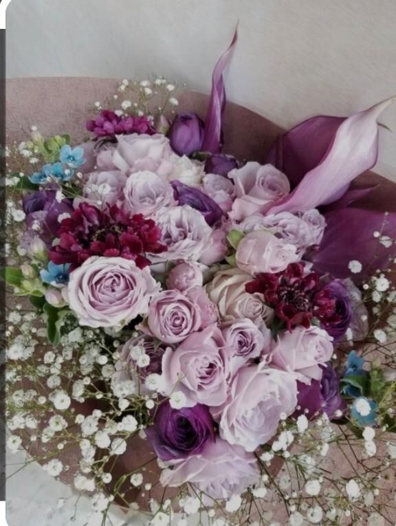 [お題]from:グミさん