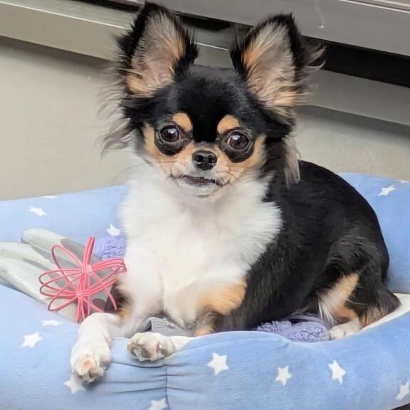 おはよー&#128262;&#8236;