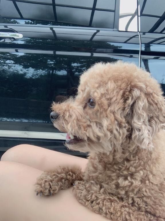 &#9825;&#9825;&#9825;