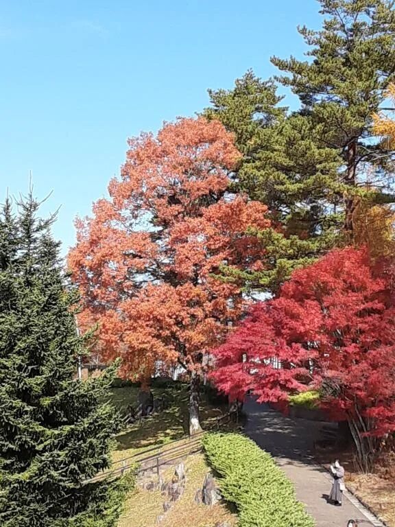 李今日…李勺待機中です勺