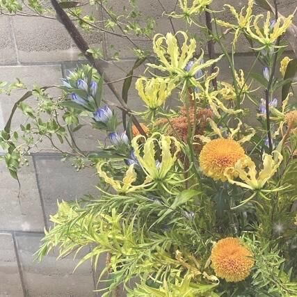 出勤してます❤︎