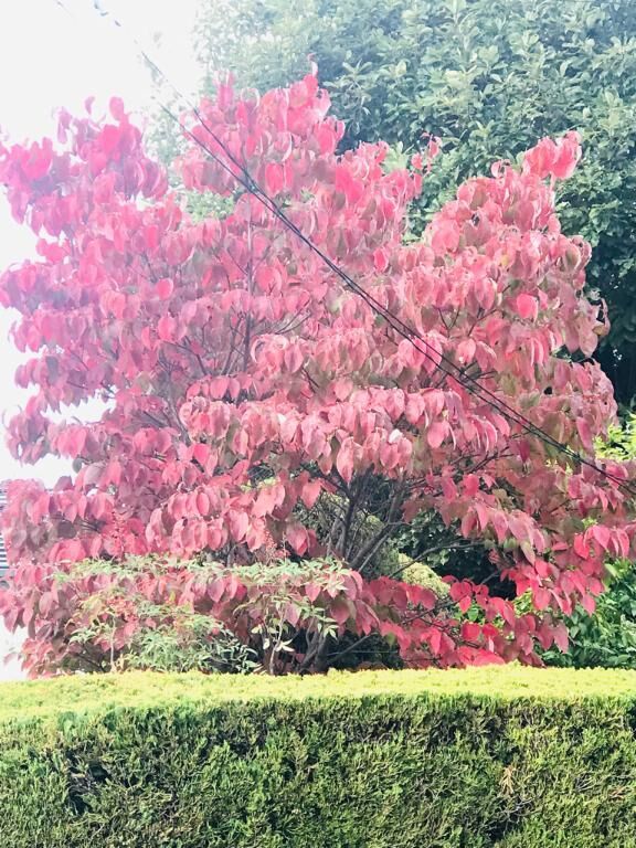 トラブル発生により