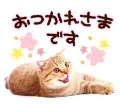 お疲れ様です♡♡♡♡♡♡