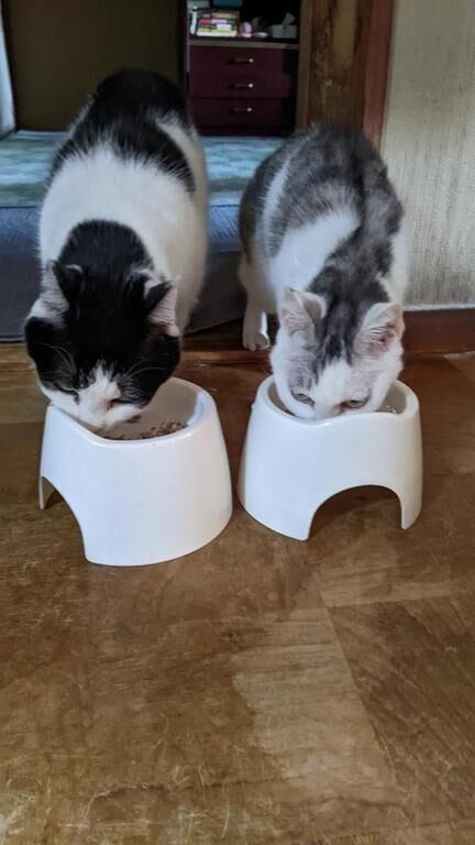 吟味しなくちゃ