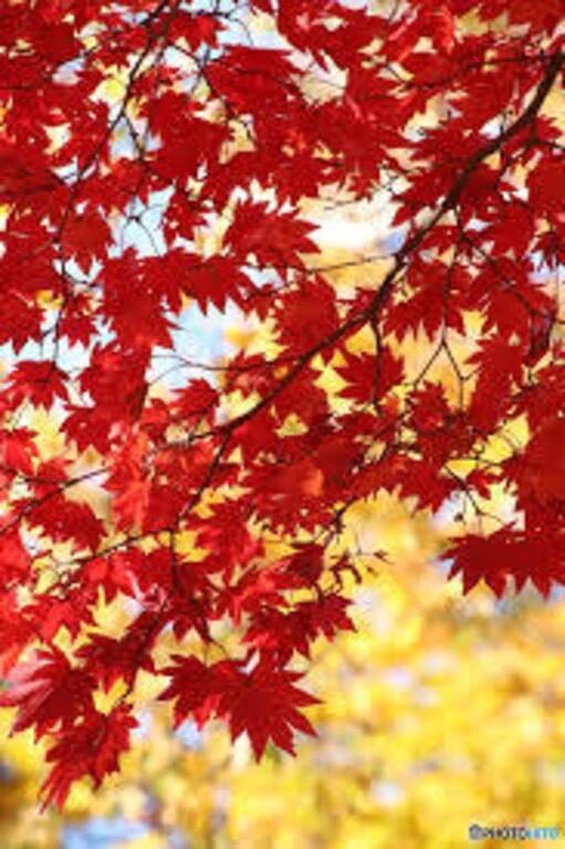 ひとり○○○○&#128150;