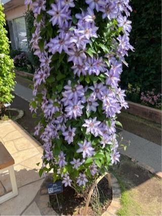 ありがとうございました