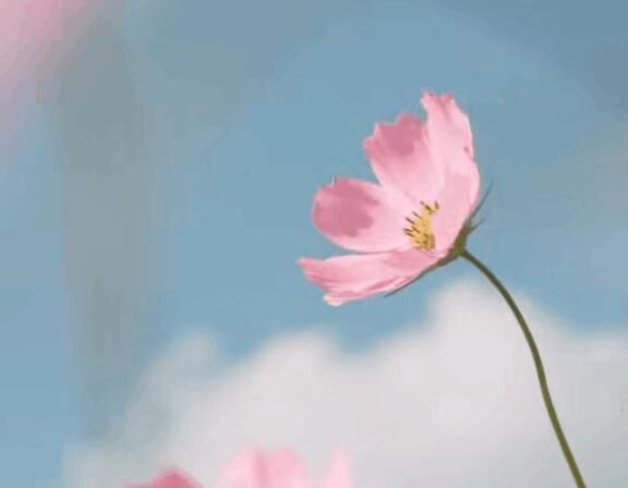 前日のお礼です&#9825;