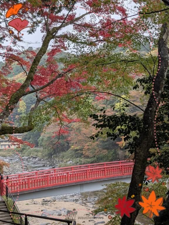 おはようございます