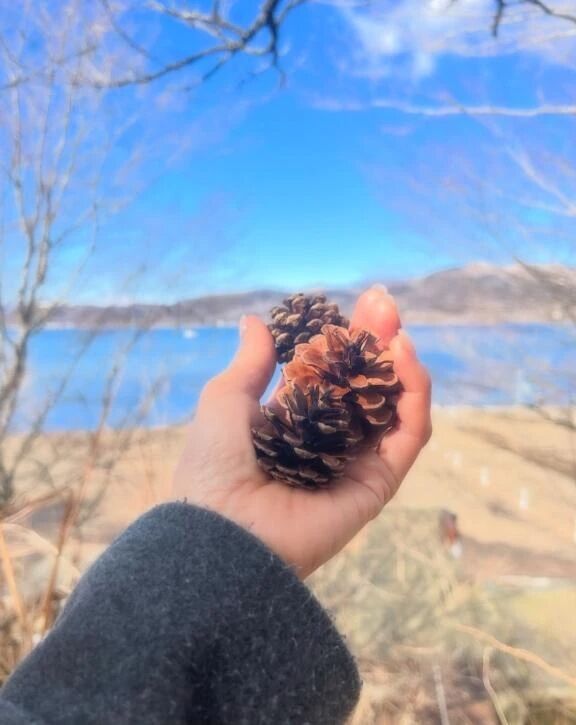 ありがとうございます