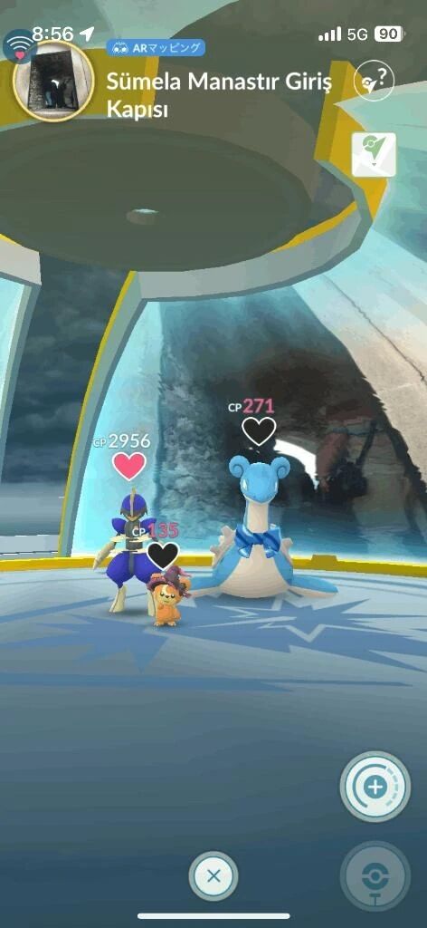 おはようございます