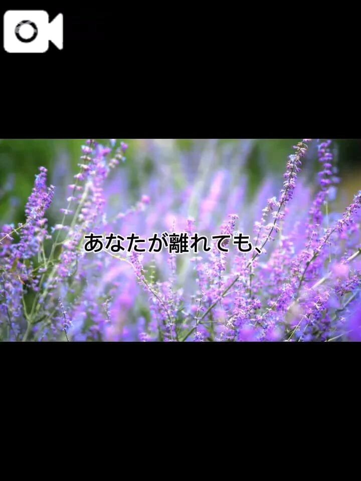 また来るって知ってる。