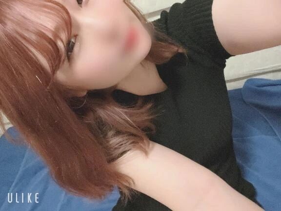 本日はお休み！