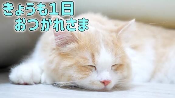 お疲れ様です♡♡♡♡♡♡