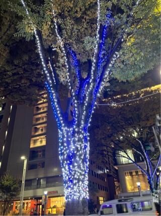 ありがとうございました