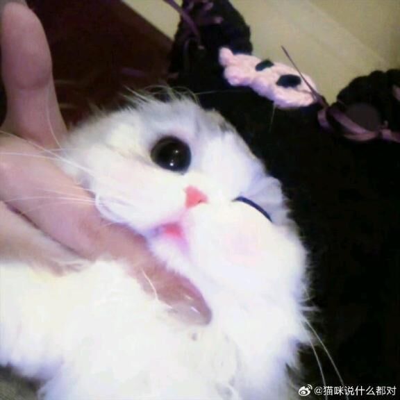 11/14 明日/朝10時&#x301C;&#9825;&#9825;&#9825;&#9825;&#9825;