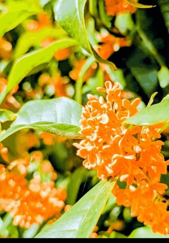 昨日のお礼&#9825;