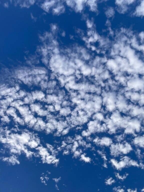 向かいます&sup3;₃